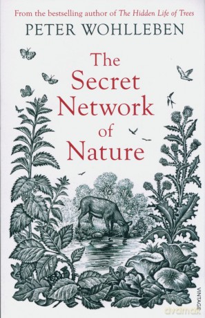 The Secret Network of Nature - Peter Wohlleben [KSIĄŻKA]