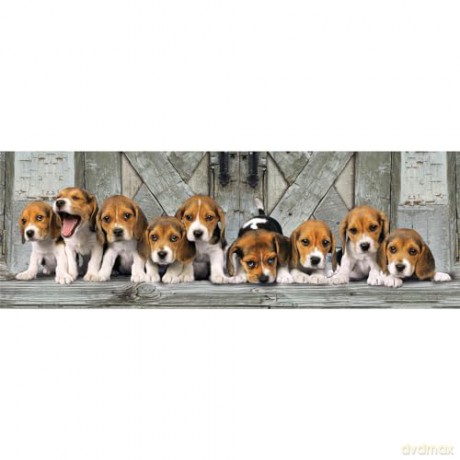 CLEMENTONI 1000 el. Panorama Beagles [PUZZLE]
