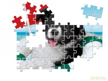 CLEMENTONI 10w1 Super Kolor Animal Friends [PUZZLE]
