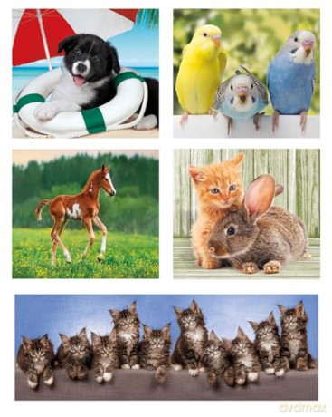 CLEMENTONI 10w1 Super Kolor Animal Friends [PUZZLE]