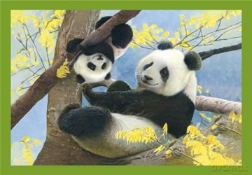 CLEMENTONI 4w1 Super Kolor Baby Cuddles [PUZZLE]