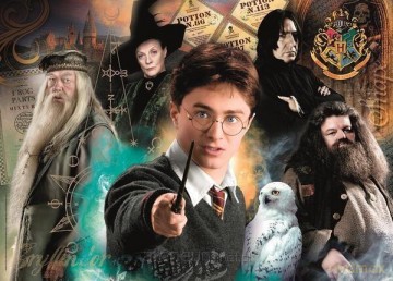 CLEMENTONI 500 el. Compact Harry Potter [PUZZLE]