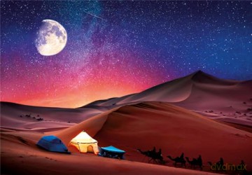CLEMENTONI 500 el. Peace Collection Starry Night Dream [PUZZLE]
