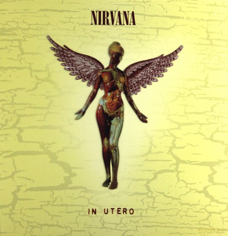 Nirvana: In Utero - 20th Anniversary (Super Deluxe) [3CD]+[DVD]