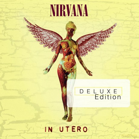 Nirvana: In Utero - 20th Anniversary (Deluxe) (digipack) [2CD]