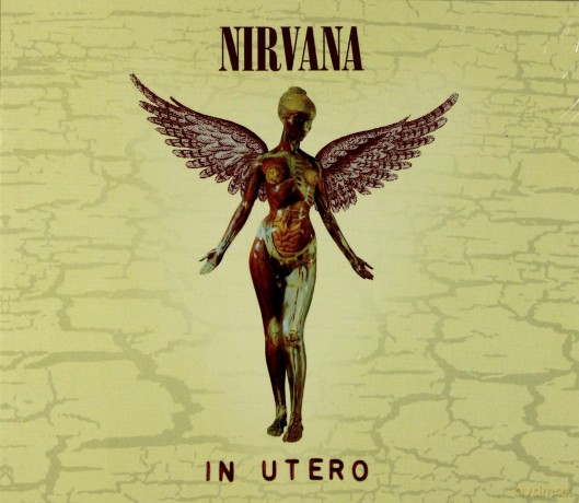 Nirvana: In Utero - 20th Anniversary (Deluxe) (digipack) [2CD]