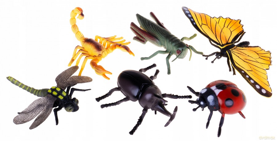 Insekty, pajęczaki 10cm 6szt KC6-006A [FIGURKA]
