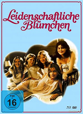Boarding School (Mediabook) [Blu-Ray]+[DVD]