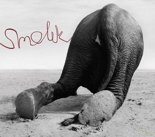 Smolik: 3  (Andrzej Smolik) (digipack) [CD]