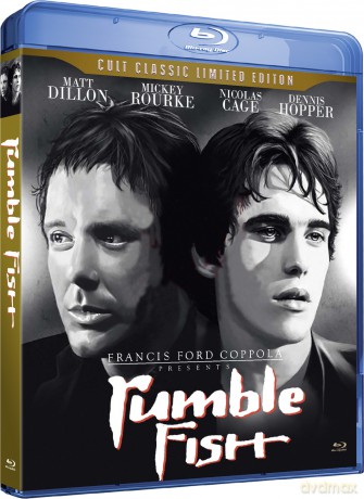 Rumble Fish (Cult Classic Edition) [Blu-Ray]