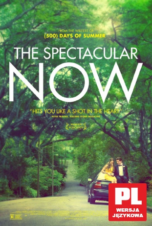 The Spectacular Now [DVD]