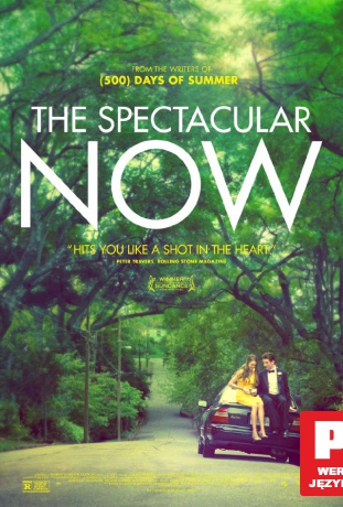 The Spectacular Now [Blu-Ray]