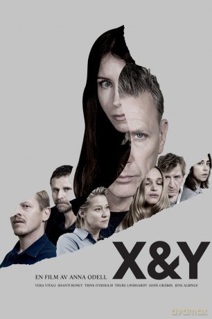 X&Y (X i Y) [DVD]