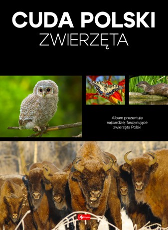 Zwierzęta. Cuda Polski [KSIĄŻKA]