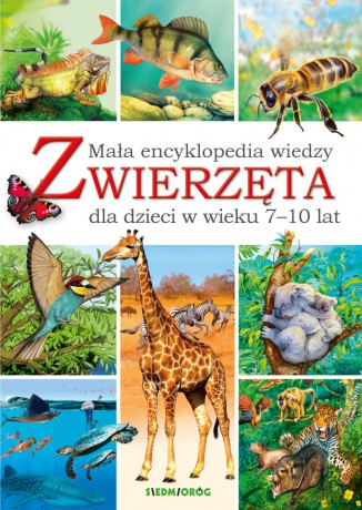 Zwierzęta. Mała encyklopedia wiedzy - Eryk Chilmon, Artur Lobus [KSIĄŻKA]