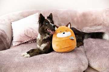 NICI Poduszka Chill-NICI lis 30 cm