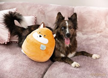 NICI Poduszka Chill-NICI lis 30 cm