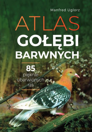 Atlas gołębi barwnych - Manfred Uglorz [KSIĄŻKA]