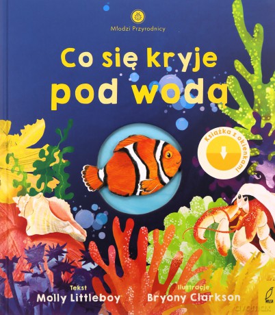 Co się kryje pod wodą. Młodzi przyrodnicy - Molly Littleboy [KSIĄŻKA]