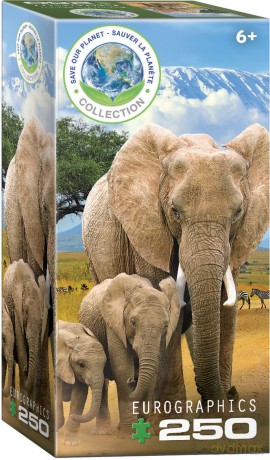EUROGRAPHICS 250 el. Elephants 8251-5787 [PUZZLE]