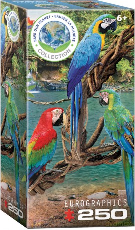 EUROGRAPHICS 250 el. Macaws 8251-5588 [PUZZLE]