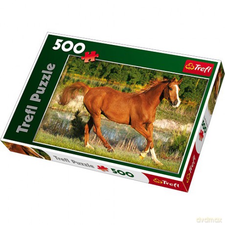 TREFL 500 el. Piękno galopu (37184) [PUZZLE]