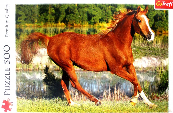 TREFL 500 el. Piękno galopu (37184) [PUZZLE]