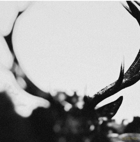 Ihsahn: Ihsahn [CD]