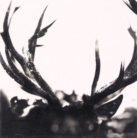Ihsahn: Ihsahn [CD]