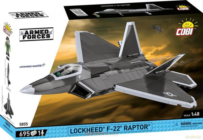 Armed Forces Lockheed F-22 Raptor [KLOCKI]