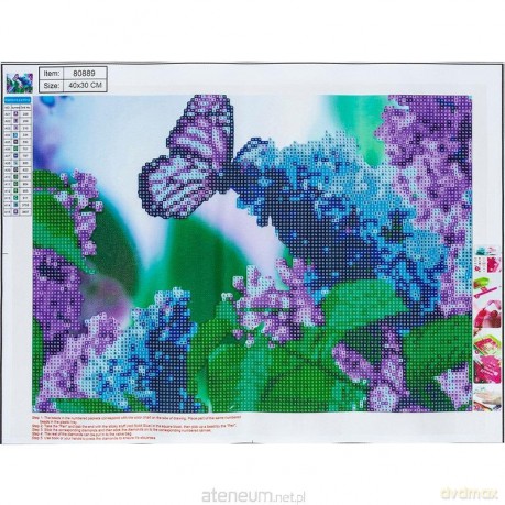 Diamentowa mozaika 5D - Butterfly 30x40 80889