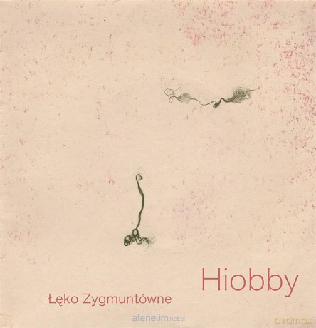 Hiobby - Łęko Zygmuntówne [KSIĄŻKA]