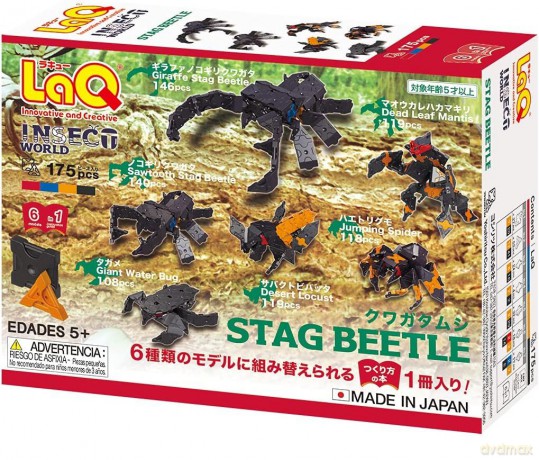 Klocki edukacyjne Stag Beetle [KLOCKI]