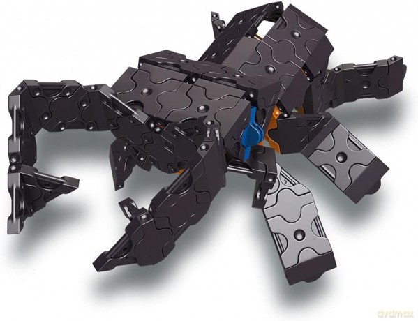 Klocki edukacyjne Stag Beetle [KLOCKI]