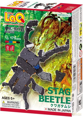 Klocki edukacyjne Stag Beetle [KLOCKI]