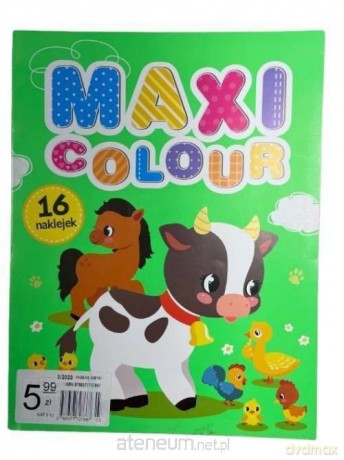 Maxi Colour. Zwierzęta [KSIĄŻKA]
