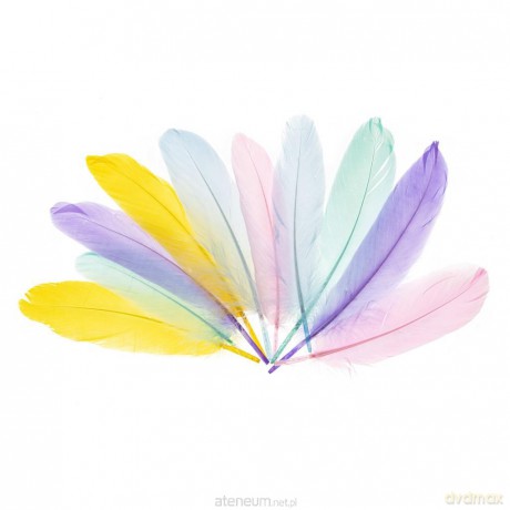 Piórka gęsie 15-20 cm pastelowe