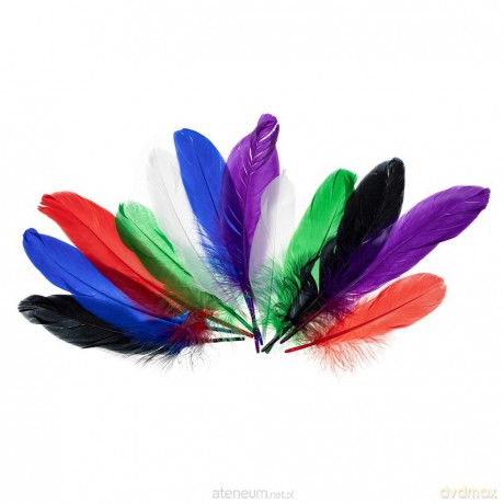 Piórka gęsie jaskrawe 15-20 cm