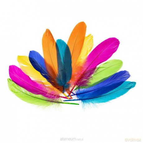 Piórka gęsie nenowy 15-20 cm
