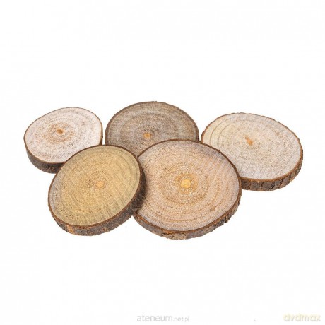 Plastry drewna 4-6 cm