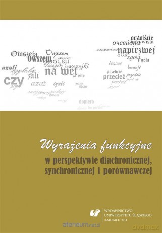 Wyrażenia funkcyjne w perspektywie diachronicznej - Krystyna Kleszczowa, Anna Szczepanek [KSIĄŻKA]