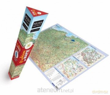 Mapa Polska fizyczna (plakat) [KSIĄŻKA]