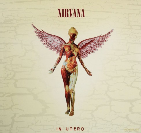 Nirvana: In Utero - 20th Anniversary [3xWINYL]