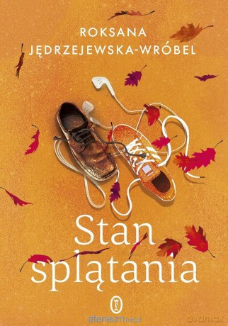 Stan splątania [KSIĄŻKA]