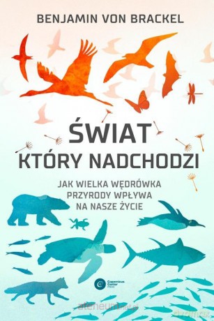 Świat, który nadchodzi - Katarzyna Łakomik [KSIĄŻKA]