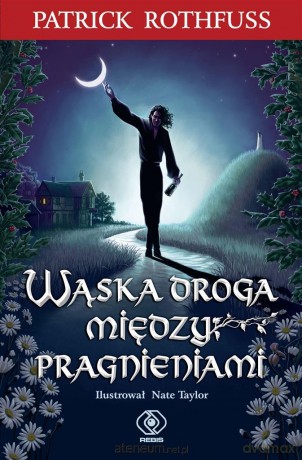 Wąska droga między pragnieniami - Partick Rothfuss, Nate Taylor [KSIĄŻKA]