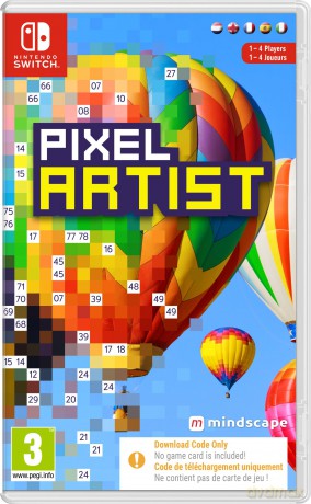 Pixel Artist (Code in a Box) [GRA SWITCH]