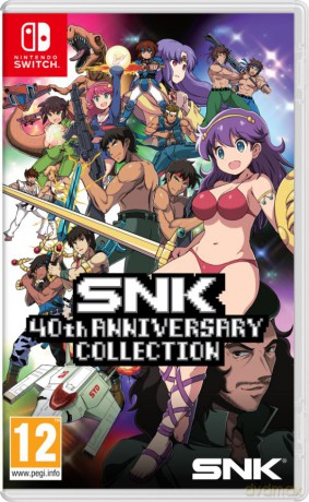 SNK 40TH ANNIVERSARY COLLECTION [GRA SWITCH]