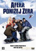Afera poniżej zera [DVD]