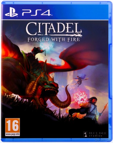 Citadel: Forged with Fire [GRA PS4]